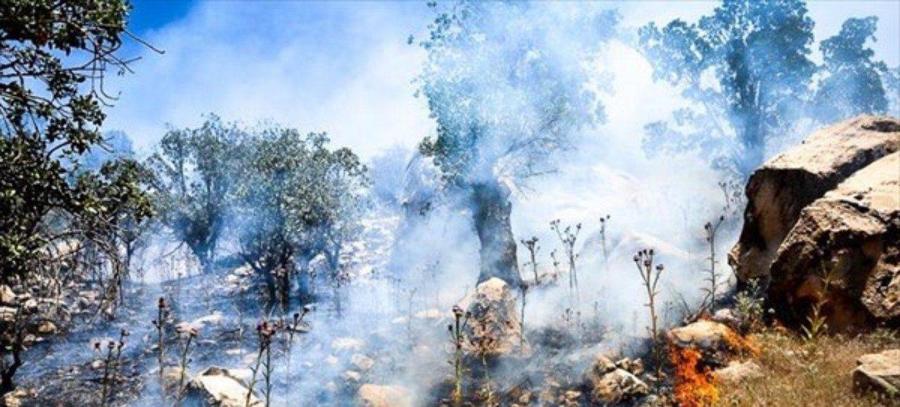 زاگرس به این زودیها احیا نمیشود